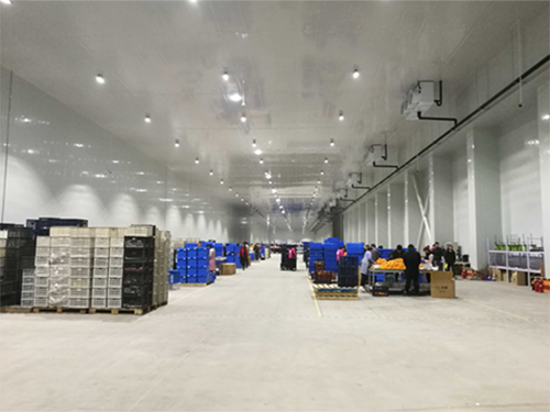 建設(shè)8000平米電商物流低溫冷藏庫費(fèi)用造價是多少？