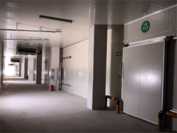 建一個5000立方香蕉冷藏冷庫大概要多少錢? 建一個5000立方香蕉冷藏冷庫大概要多少錢?