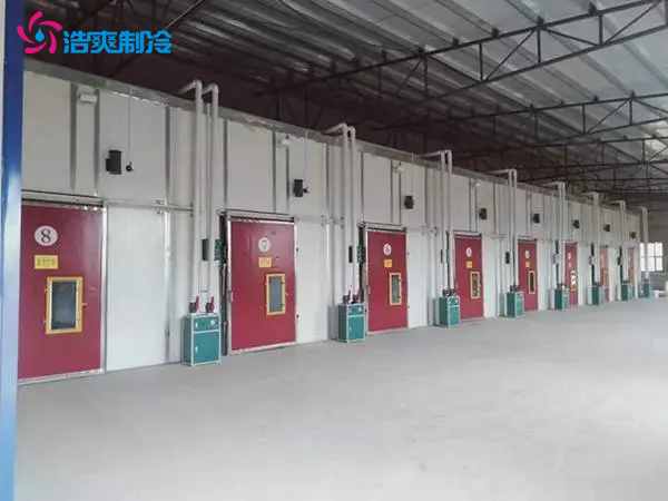 果蔬保鮮冷庫建造安裝,果蔬冷庫儲(chǔ)藏方法 果蔬保鮮冷庫建造安裝,果蔬冷庫儲(chǔ)藏方法