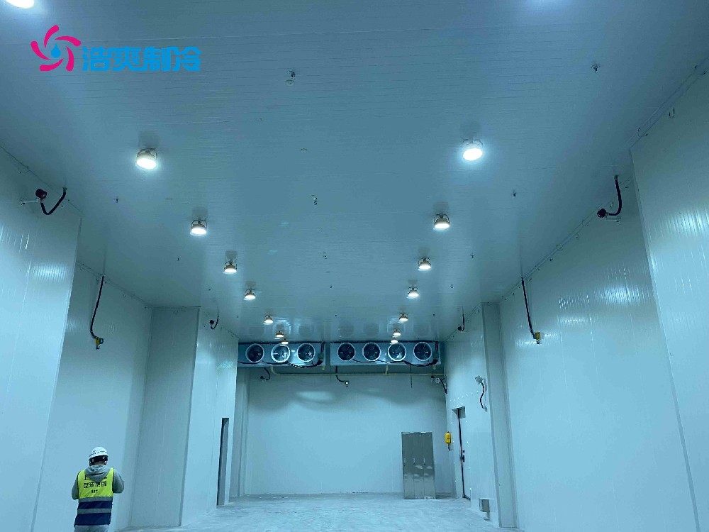 醫(yī)藥冷庫建造的要求,醫(yī)藥冷庫設計建造