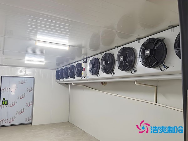 冷凍庫建設每平方米的造價是多少?