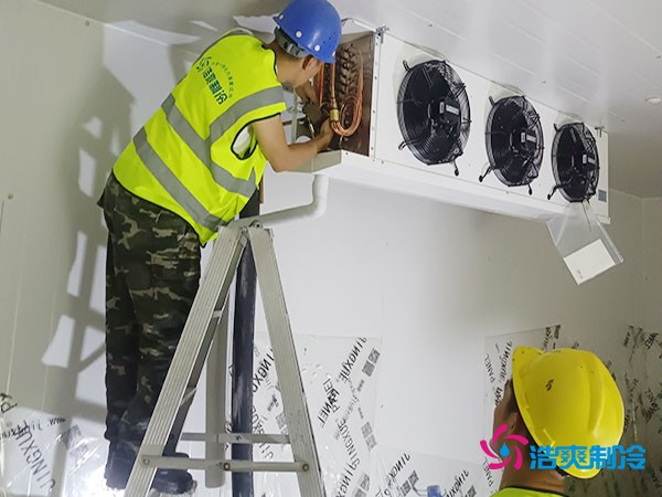 建造一個300平方米的冷凍庫造價需要多少資金投入呢?