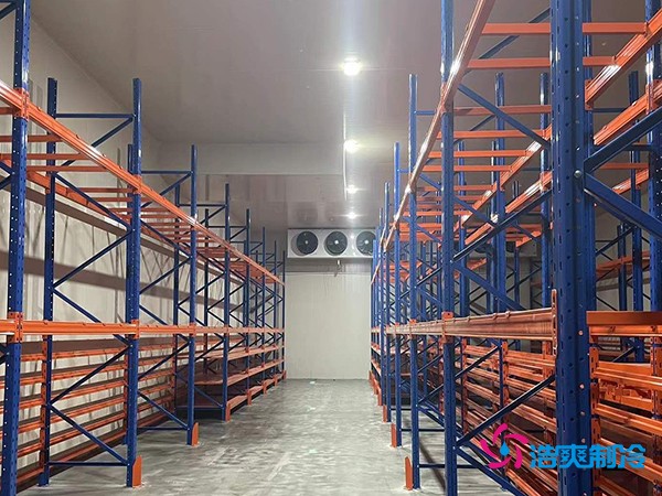 建中型冷庫要花多少錢？這些關鍵因素你必須知道-浩爽制冷
