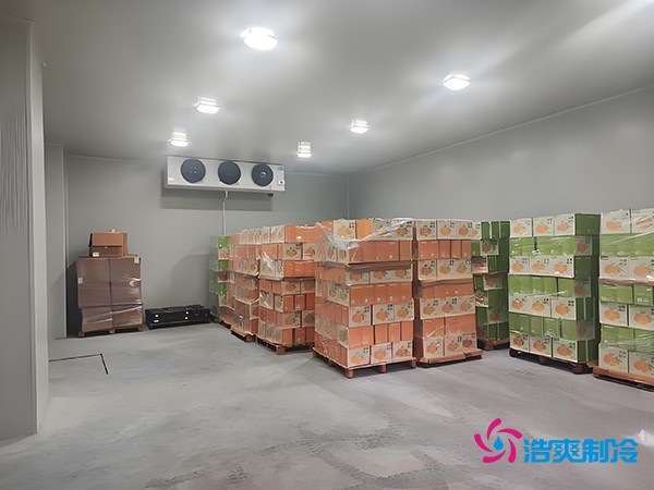 1000噸果蔬保鮮庫造價揭秘，節省成本就靠這幾點！
