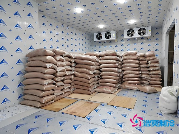 2萬起建種子冷庫？這些因素讓造價翻倍！