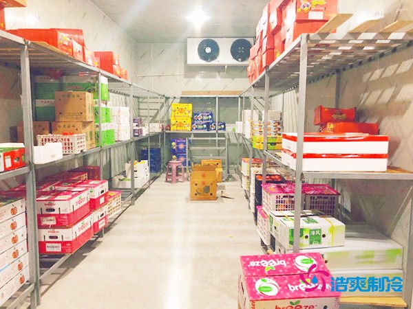 5噸水果需要多大冷庫？答案出乎意料！