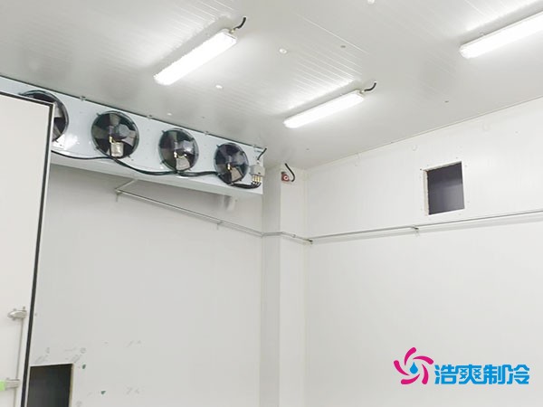 上海小型冷庫造價揭秘!2萬起真的靠譜嗎?