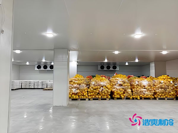 20噸玉米如何長期保鮮？冷庫造價大揭秘！