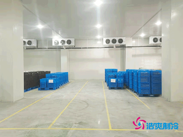 冬瓜保鮮冷庫安裝造價成本多少錢？