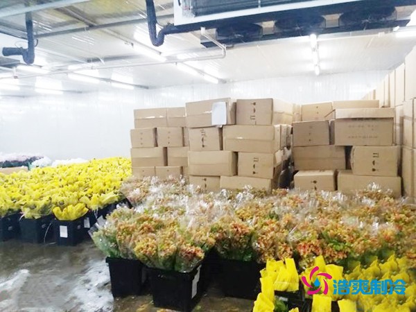 建造500㎡花卉鮮花冷庫工程造價預算解析