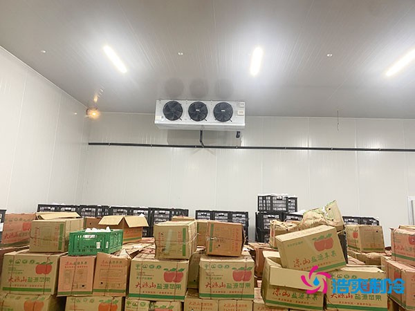 水果冷庫造價多少一立方