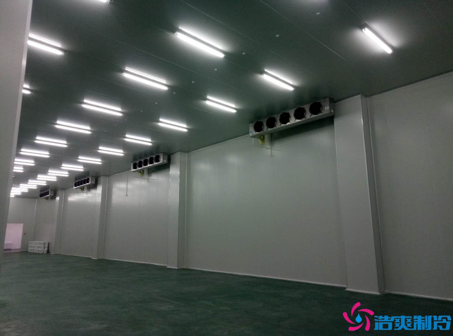 深圳金瑞凱利生物建造100㎡高標準醫藥冷庫(冷凍冷藏庫)工程案例