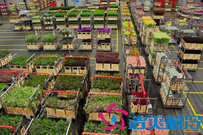 上海1000㎡花卉恒溫庫安裝設備需要多少錢