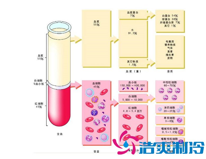 -30℃~-80℃血漿蛋白低溫冷凍庫規范,冷庫安裝價格