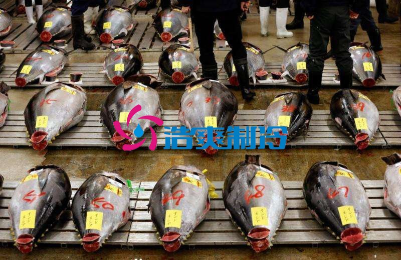 浩爽制冷，金槍魚冷庫，超低溫冷凍庫