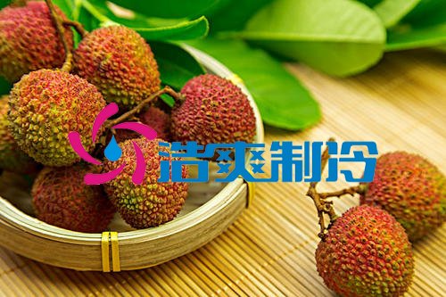 浩爽制冷,氣調(diào)庫