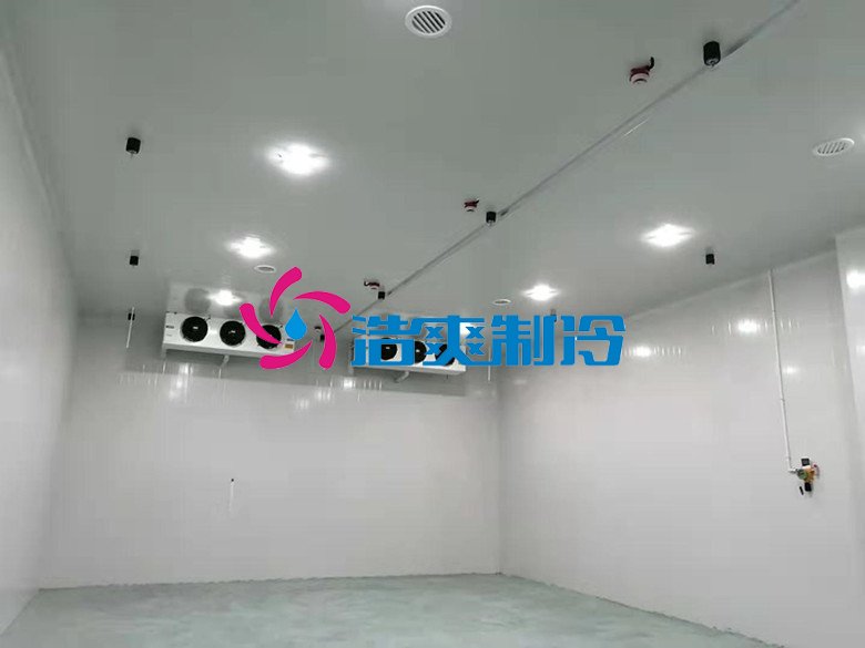 浩爽制冷,巧克力冷藏庫